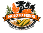 Moloto Feeds